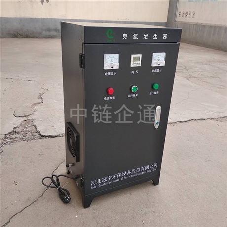 20g氧气源臭氧发生器 臭氧发生器厂家 臭氧发生器报价