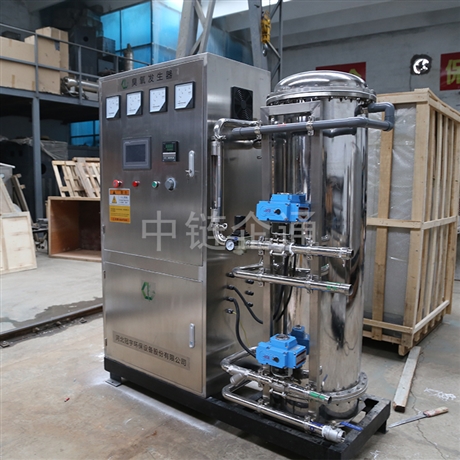 300g空气源臭氧发生器 臭氧发生器厂家 臭氧消毒设备