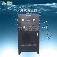 100g臭氧发生器厂家 臭氧发生器厂家 臭氧消毒设备