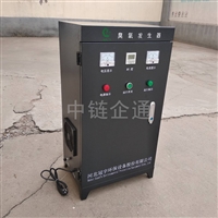 20g氧气源臭氧发生器 臭氧发生器厂家 臭氧发生器报价