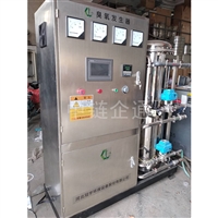 300g氧气源臭氧消毒设备 臭氧消毒机 臭氧消毒器