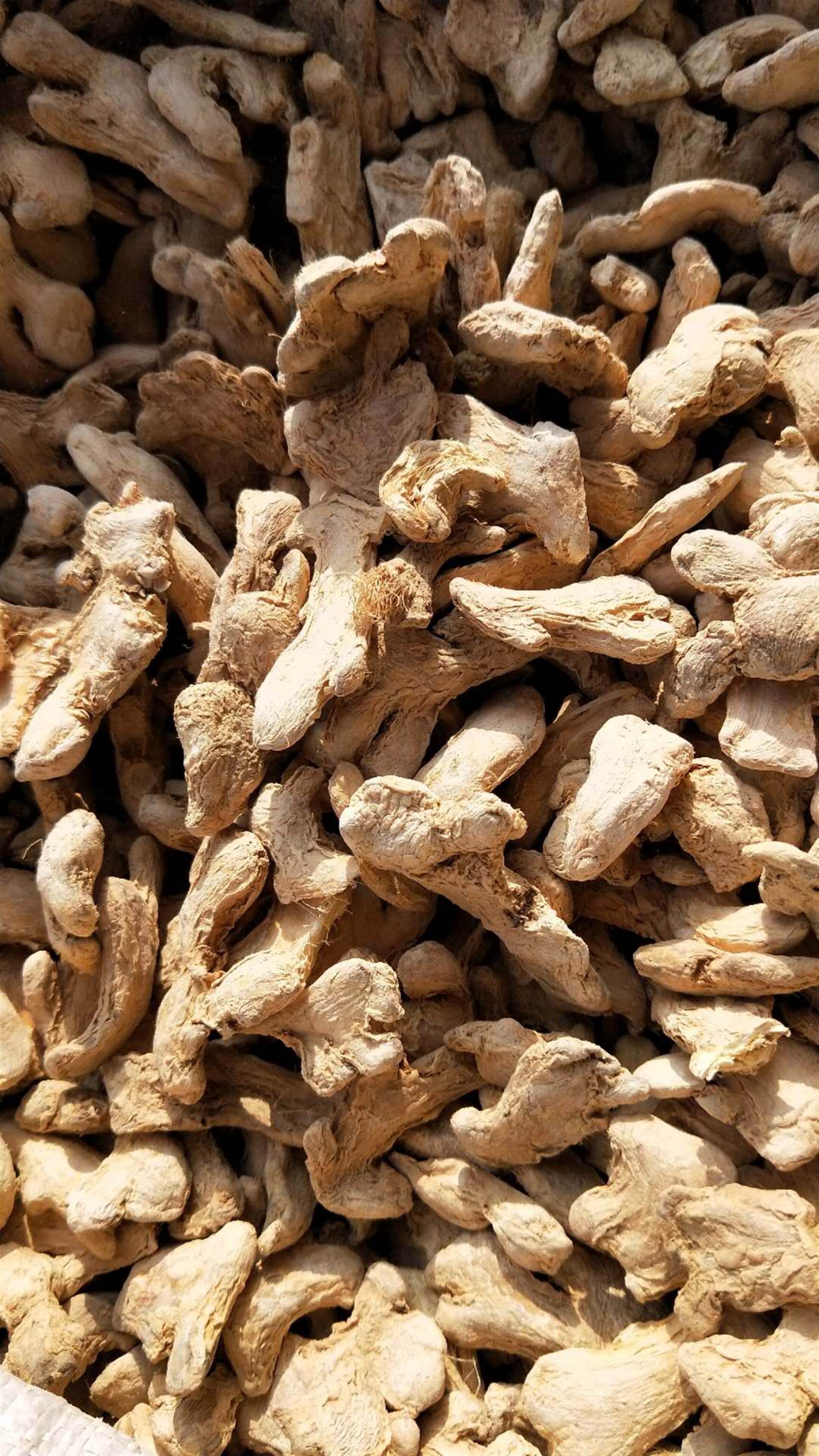 中药材批发七叶莲