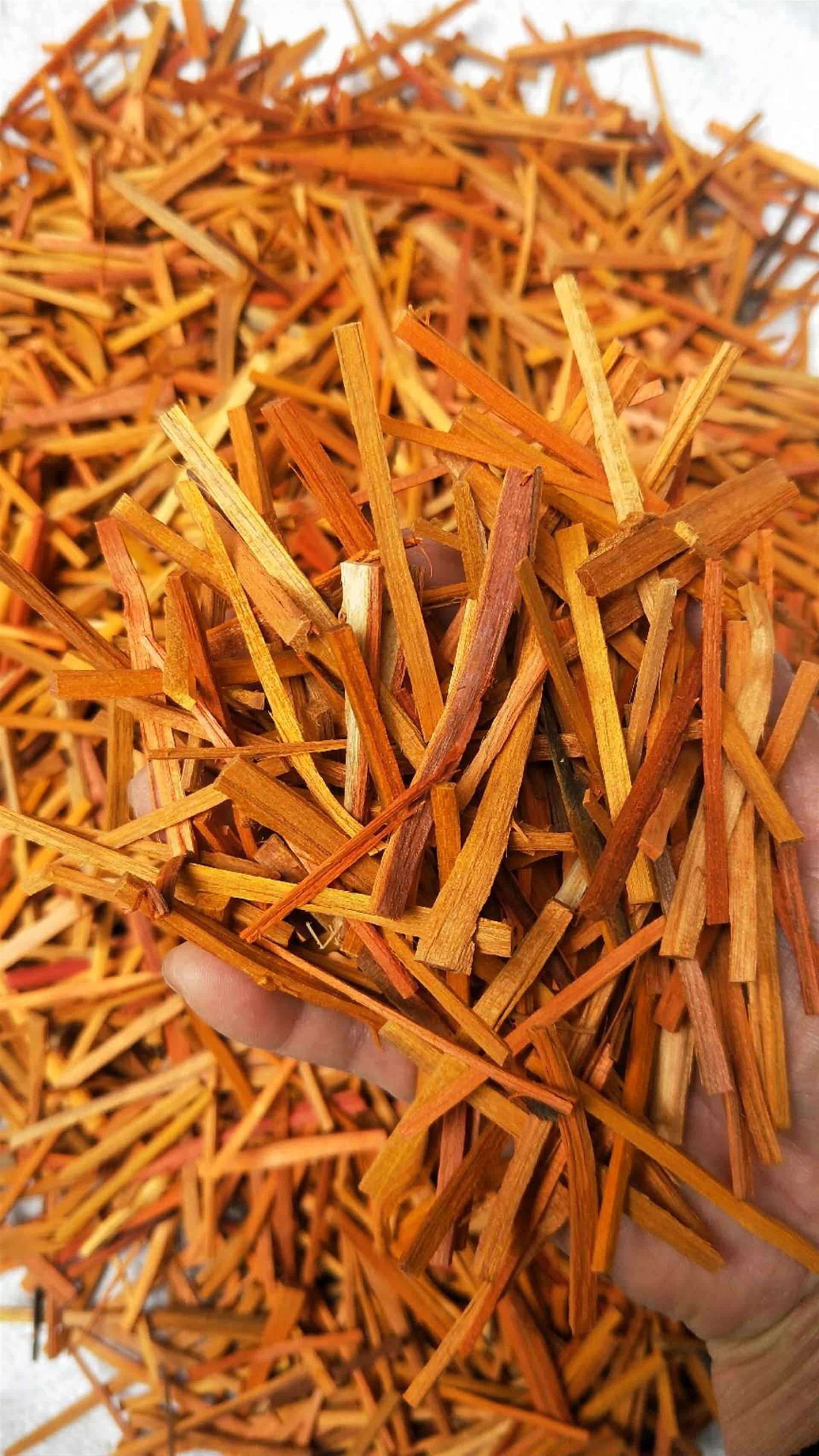 中药材苏木批发价格,产地苏木