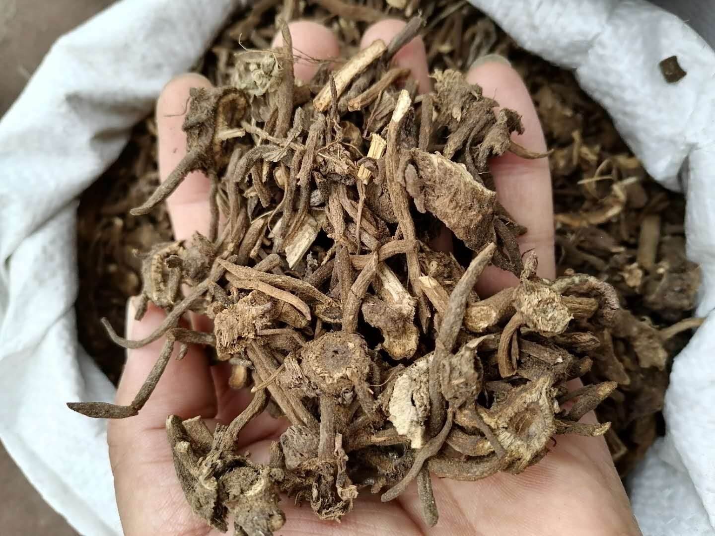 中药材批发大蓟