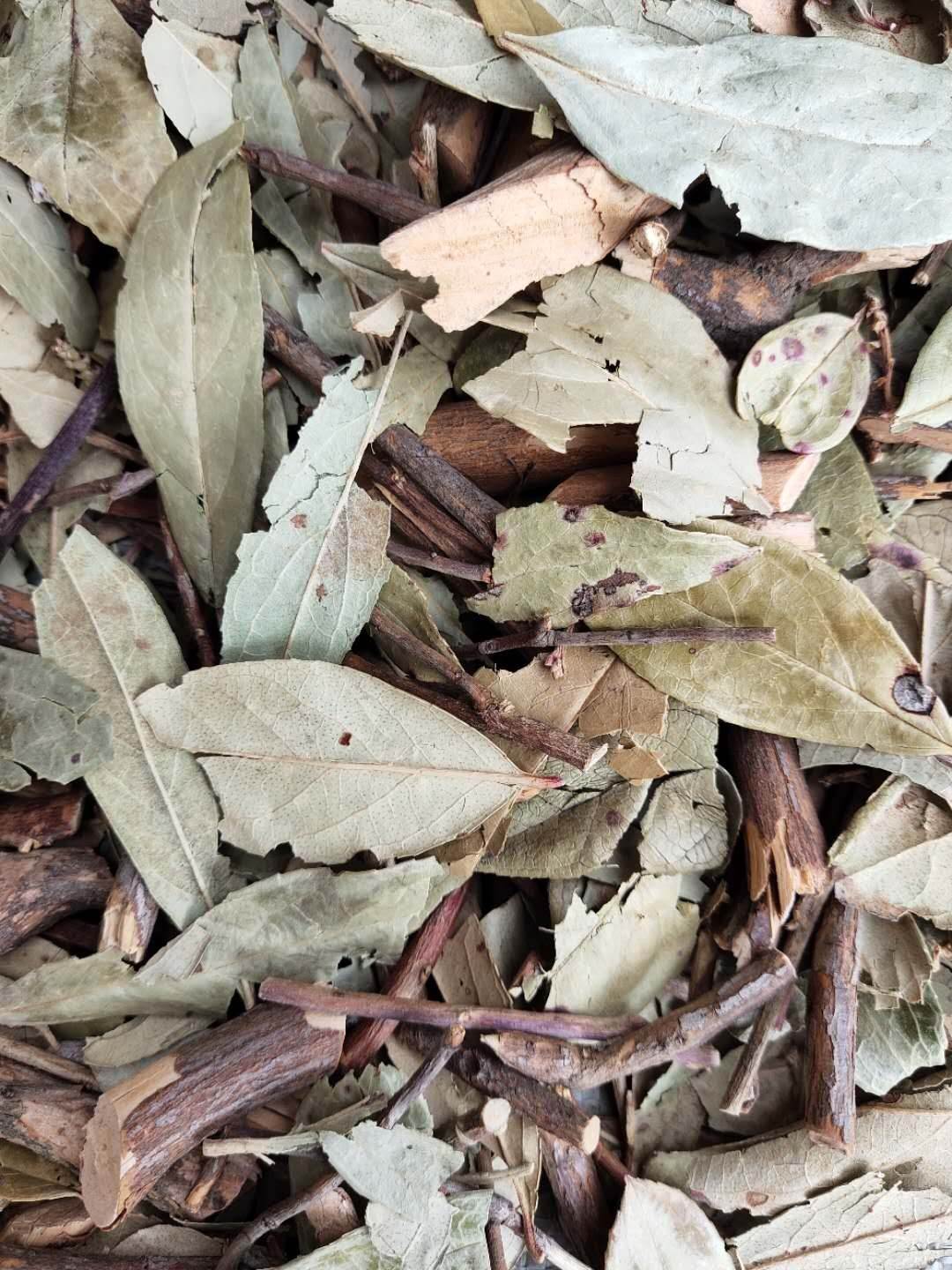 冷背药材透骨消供应