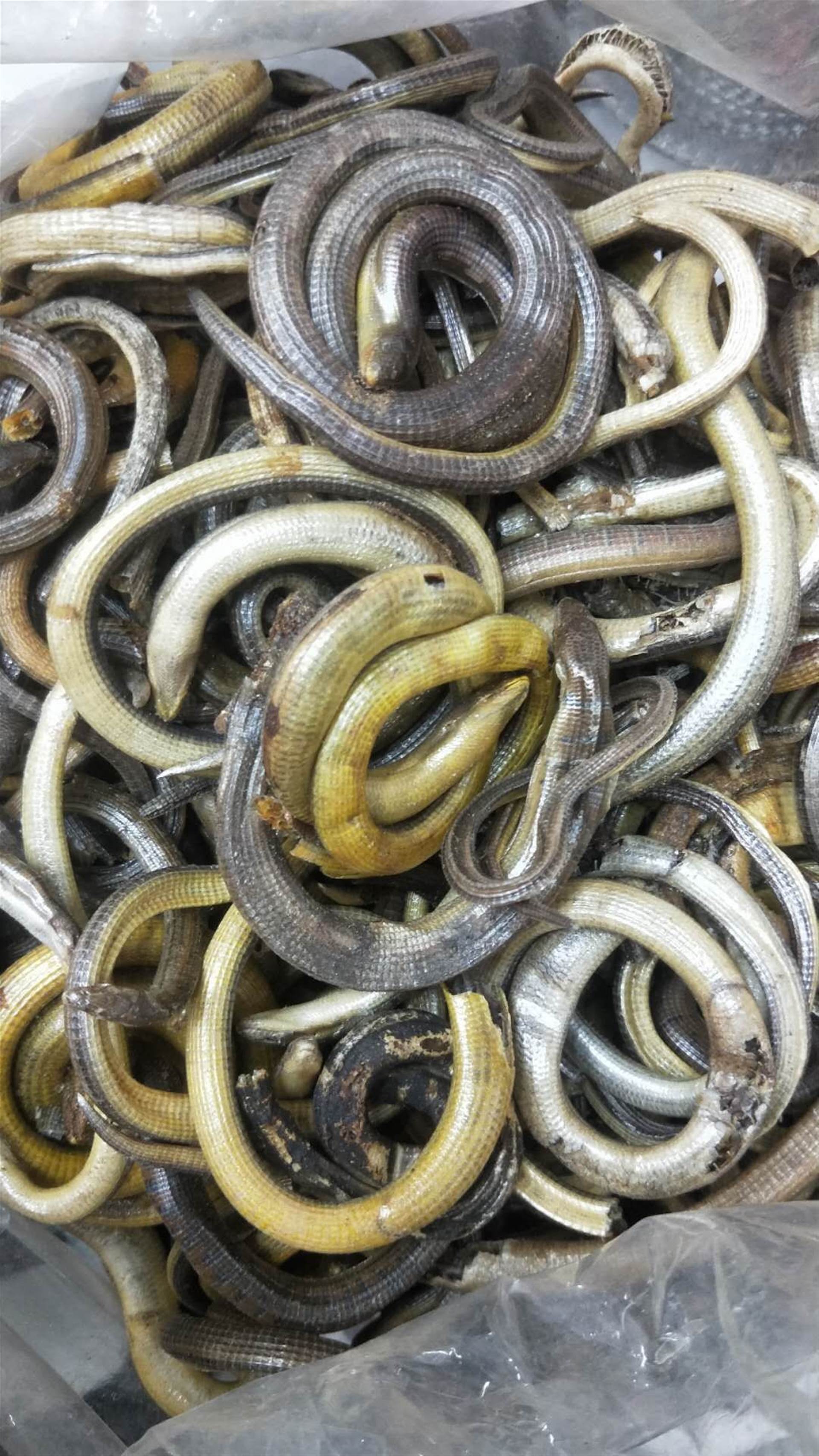 中药材蛴螬批发价格  产地供应