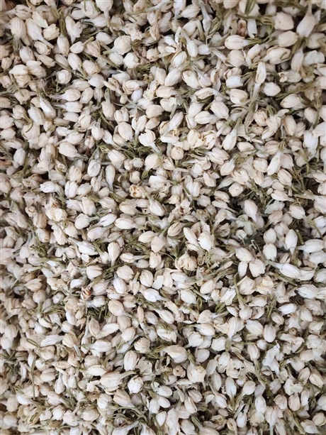白蔻价格   供应香料白蔻