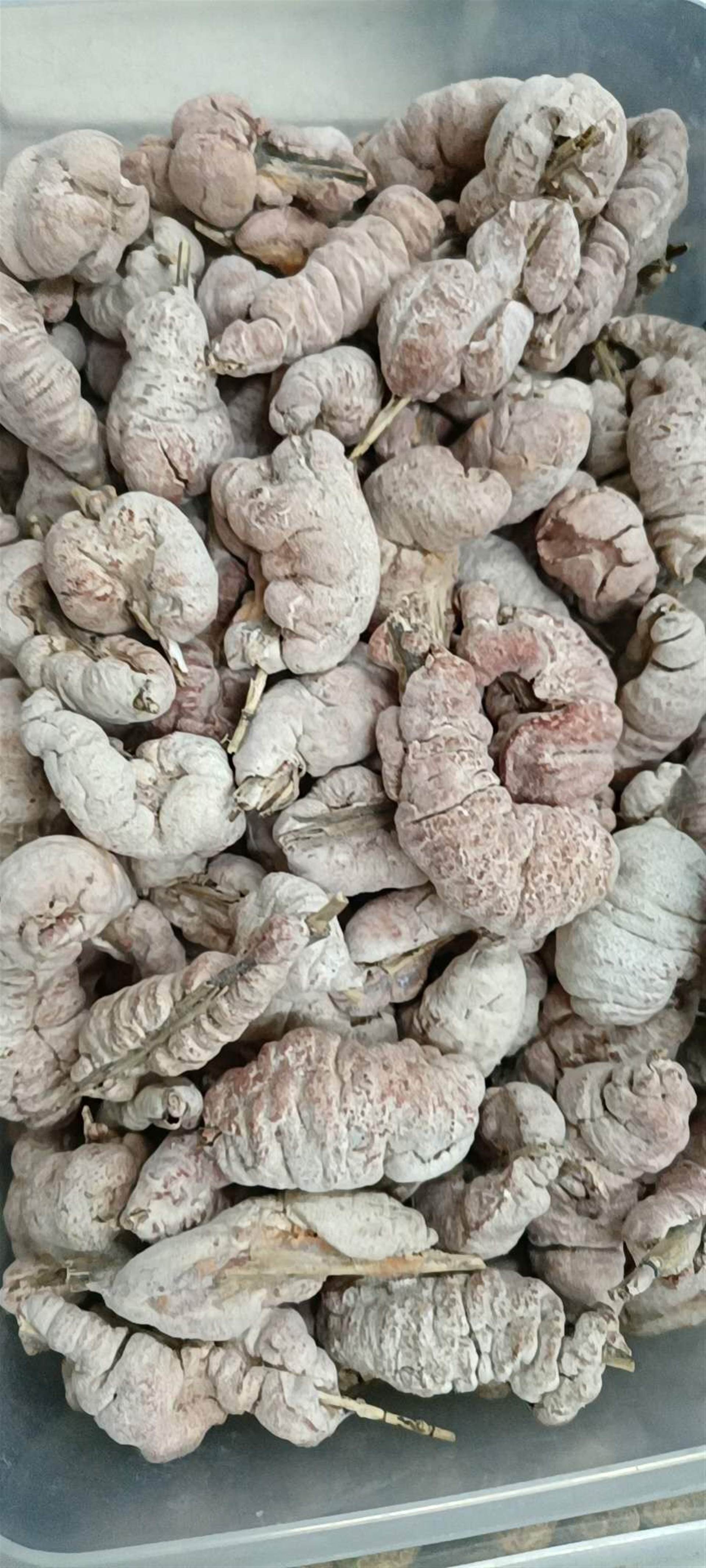 中药材草河车批发价格