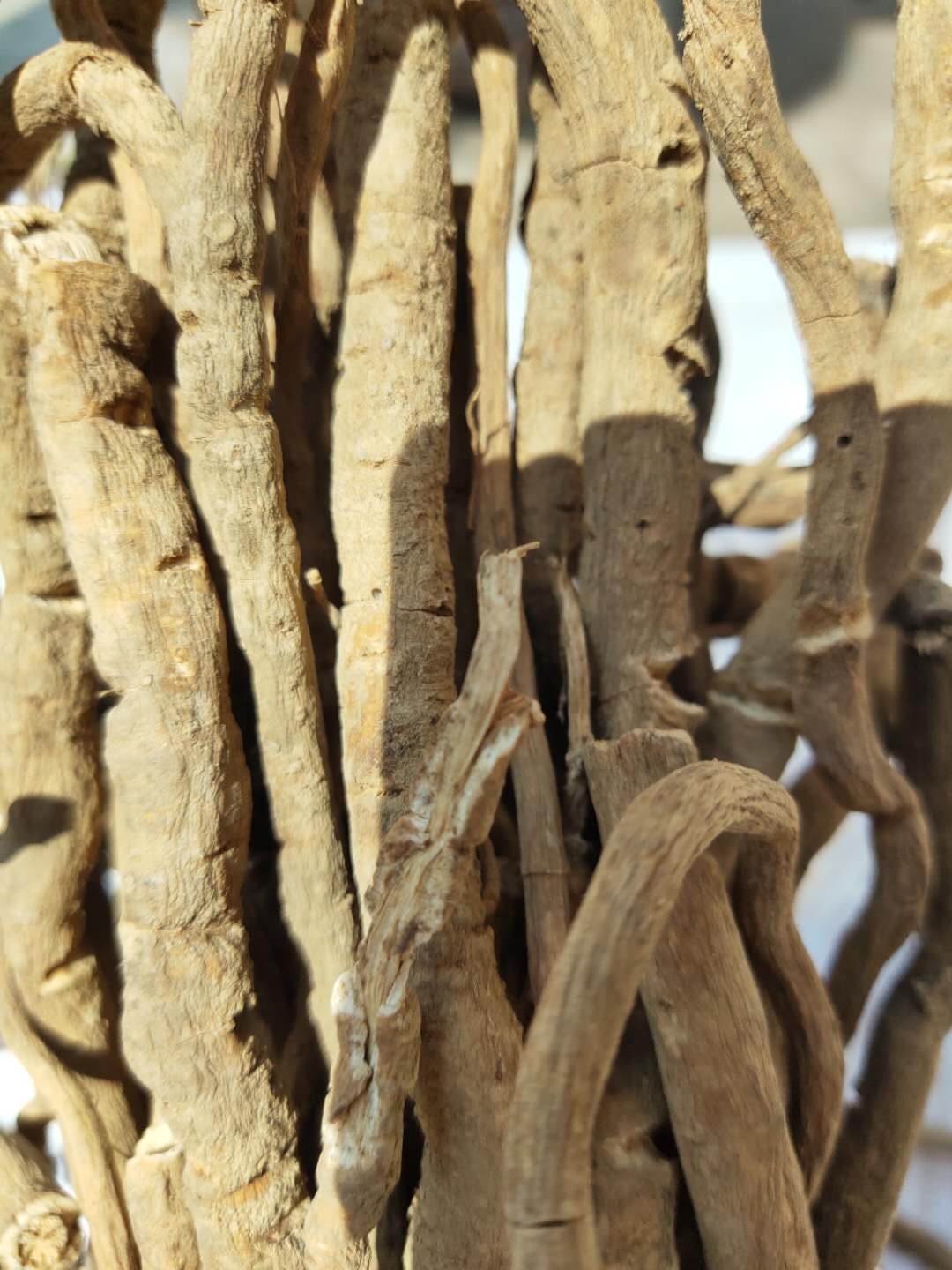 中药材批发九龙藤   九龙藤的功效