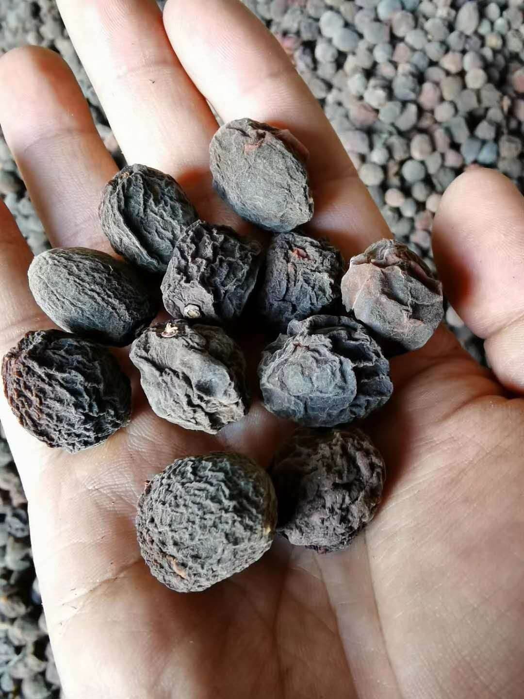 中药材人工牛黄