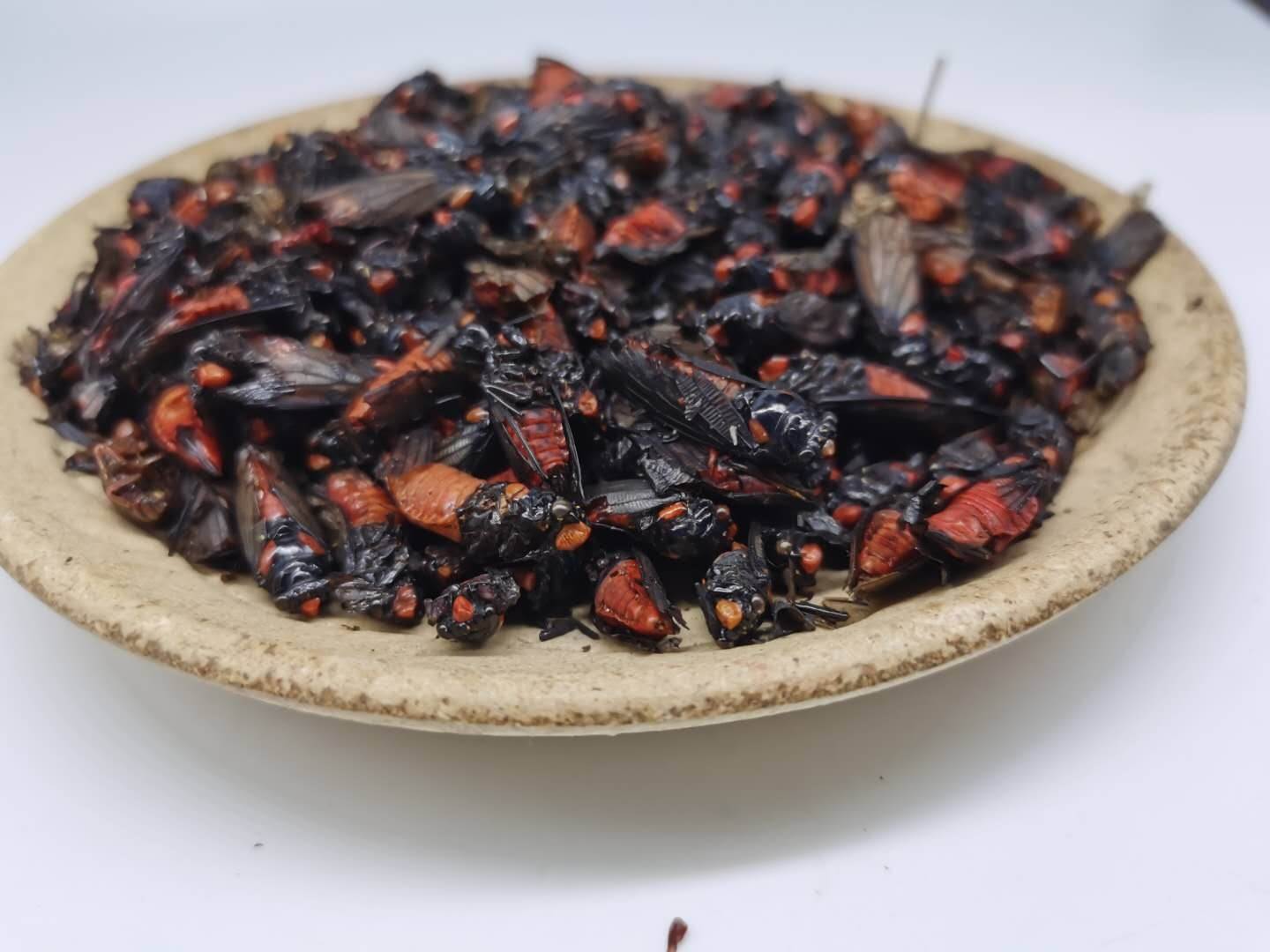 邳州铝单板雕花雕花铝单板生产商