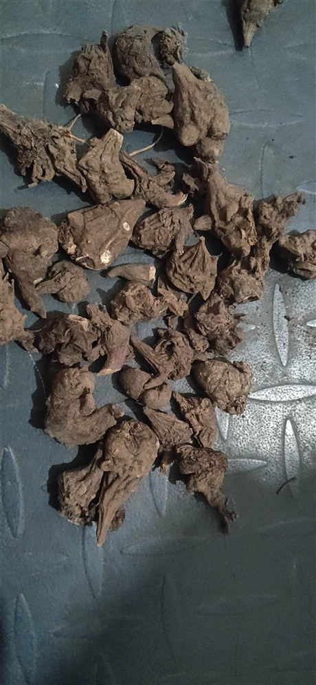 旋复花的功效与作用