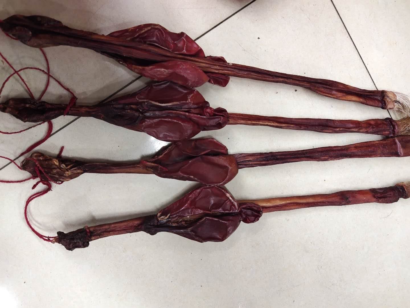 中药材牛鞭的功效牛鞭一条的价格