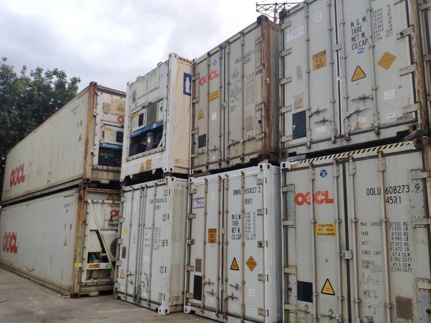 冷冻集装箱出租广州周边出售40尺冷冻集装箱 6米冷冻集装箱