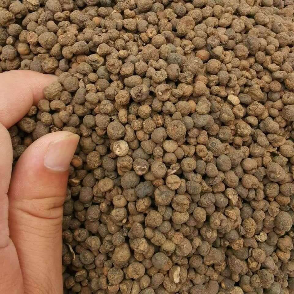 中药材批发落地珍珠