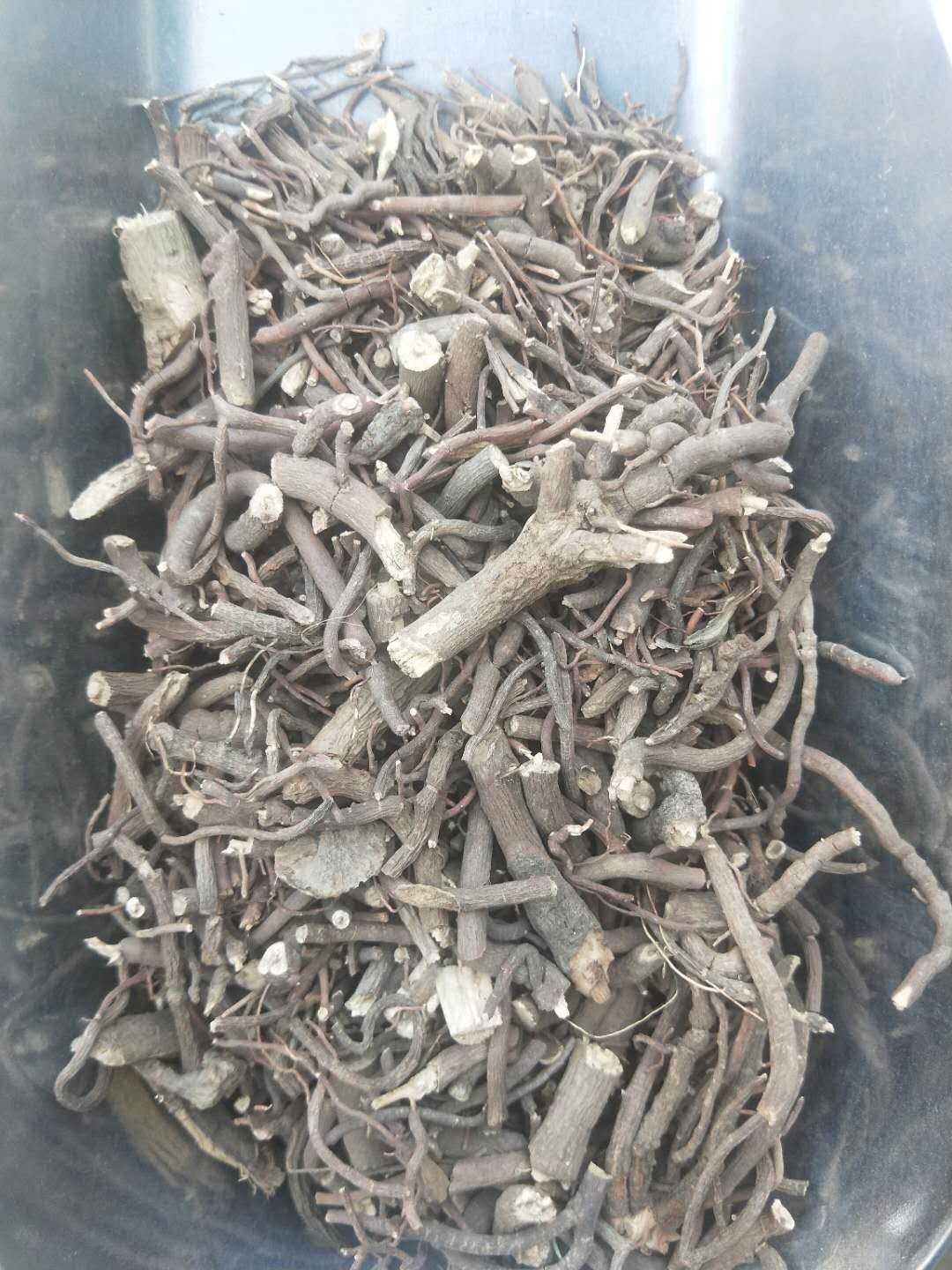 中药材虎刺根批发价格