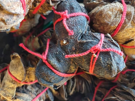凌霄花的药用价格