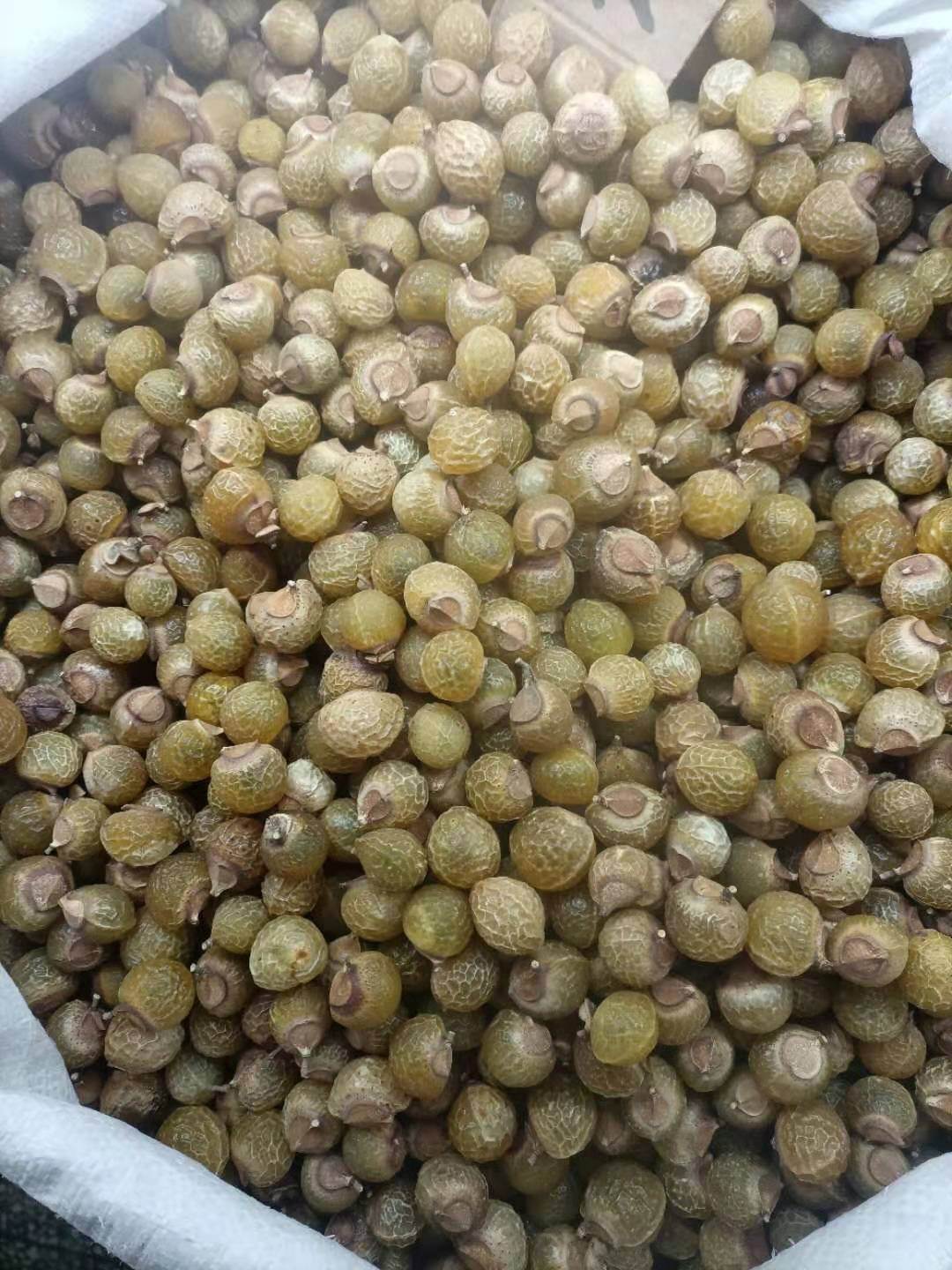 中药材蜂房批发价