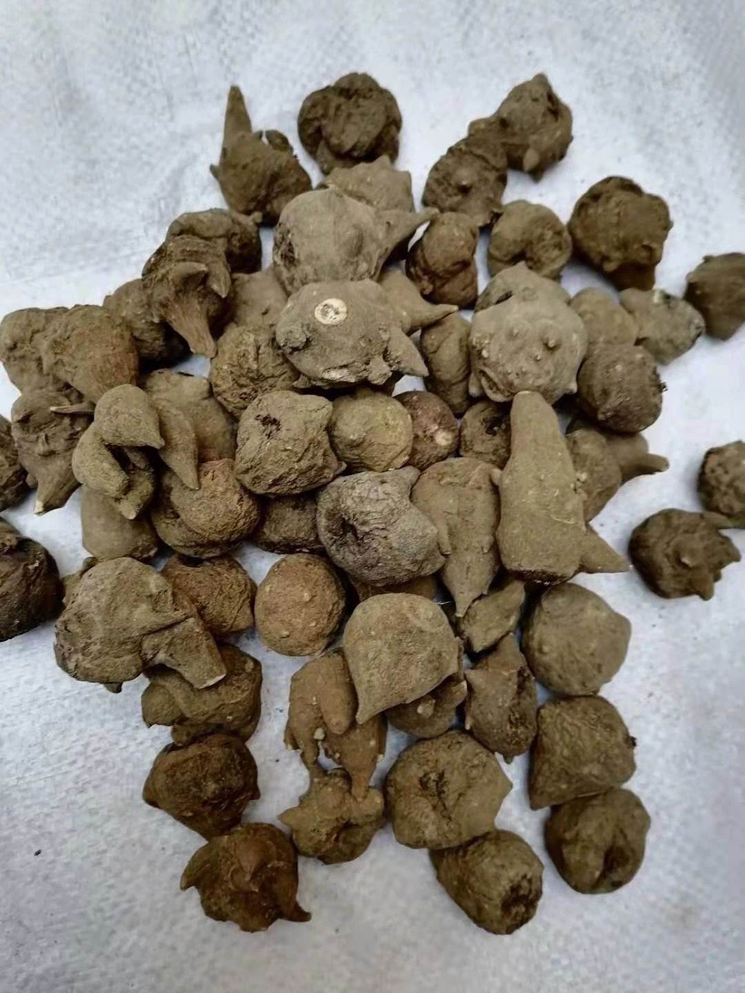 中药材批发北豆根