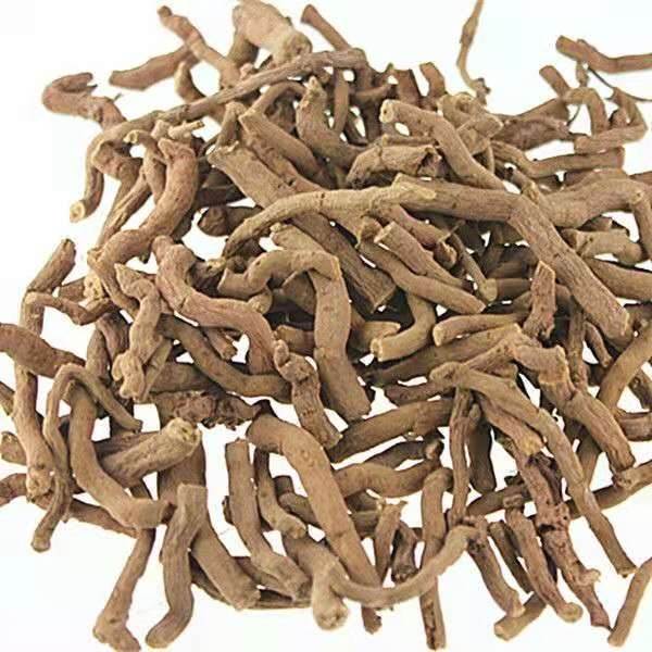 中药材批发白龙须