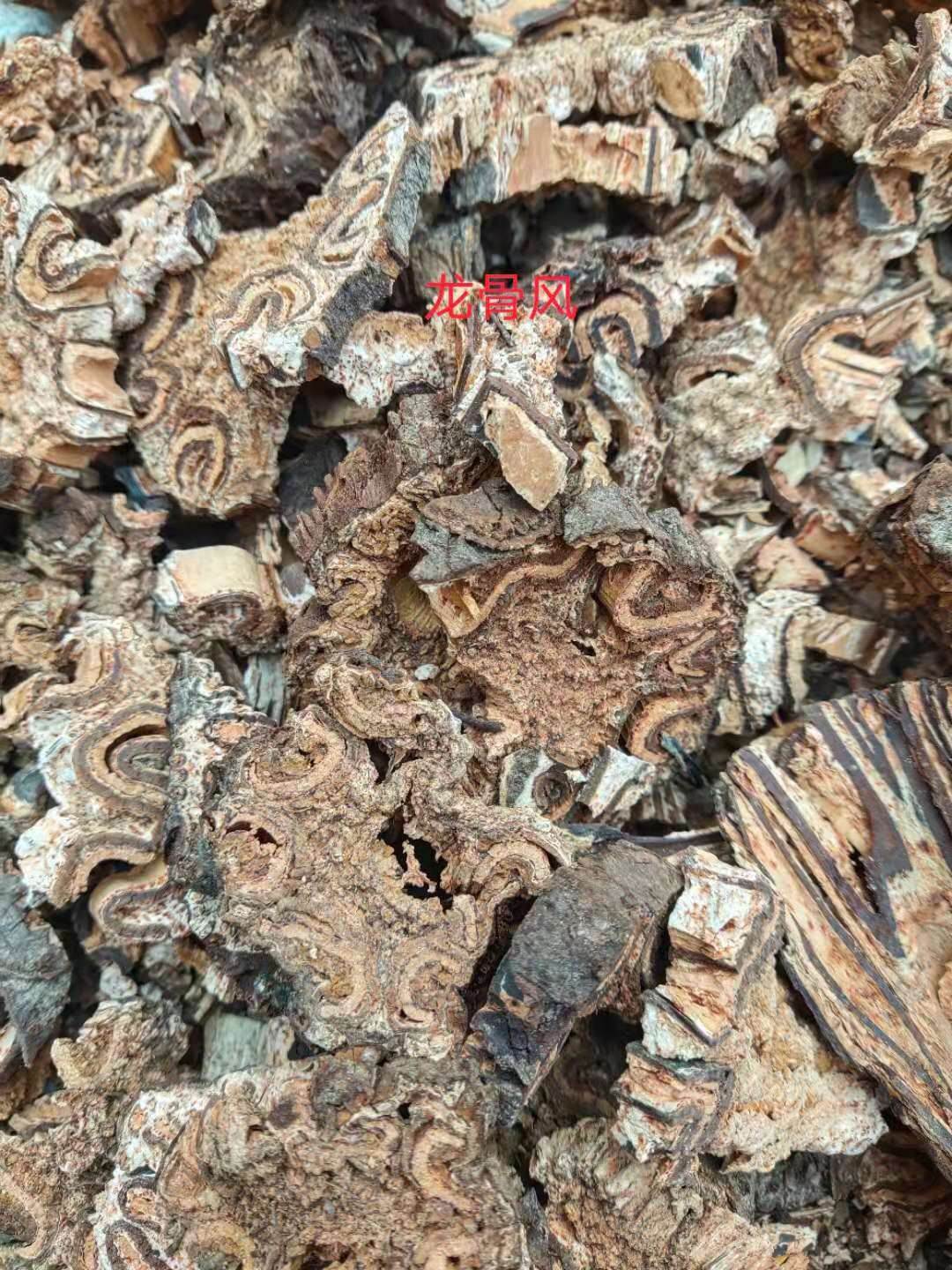 中药材龙骨风批发龙骨风的功效