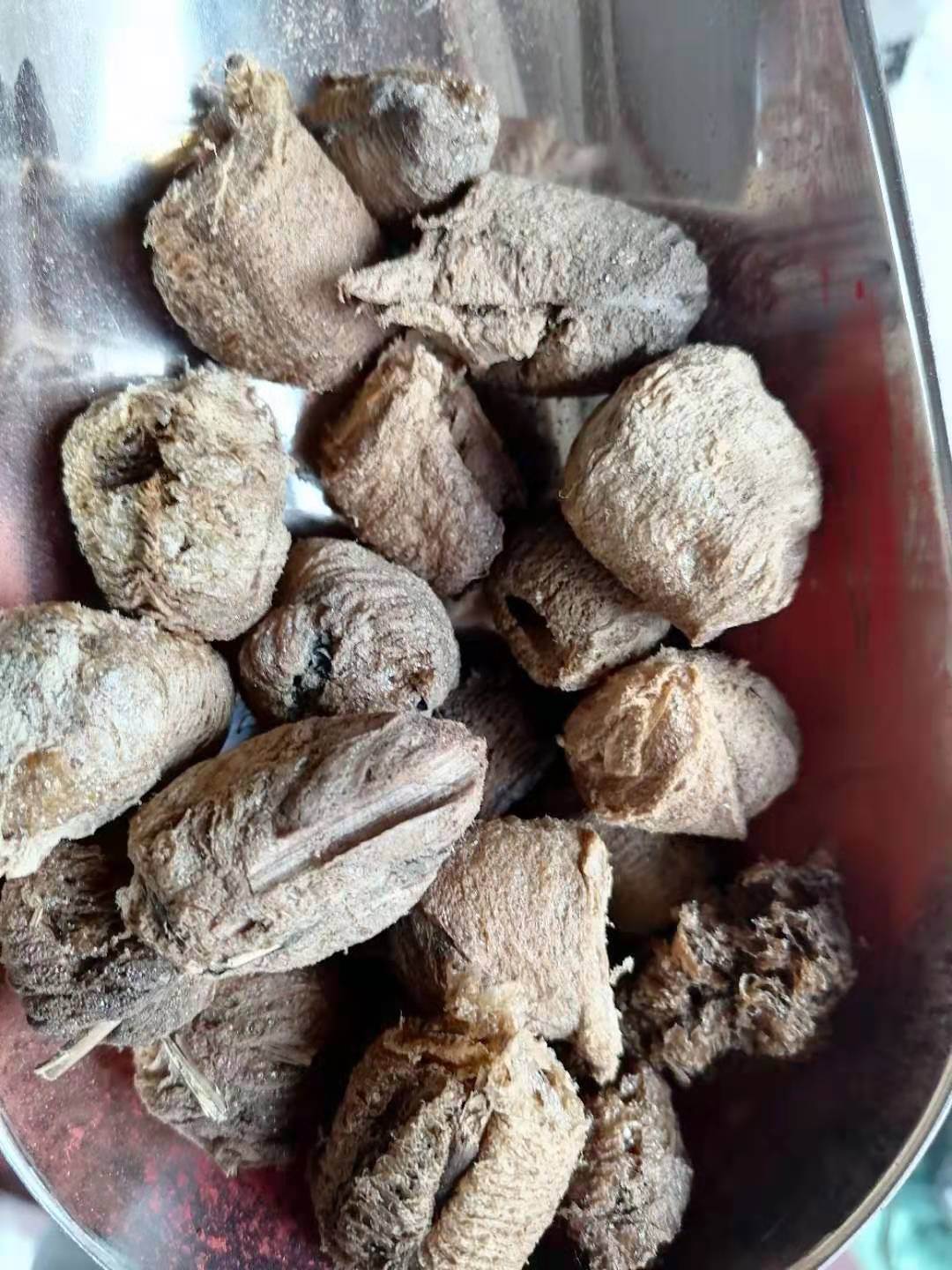 批发中药材羊蹄根