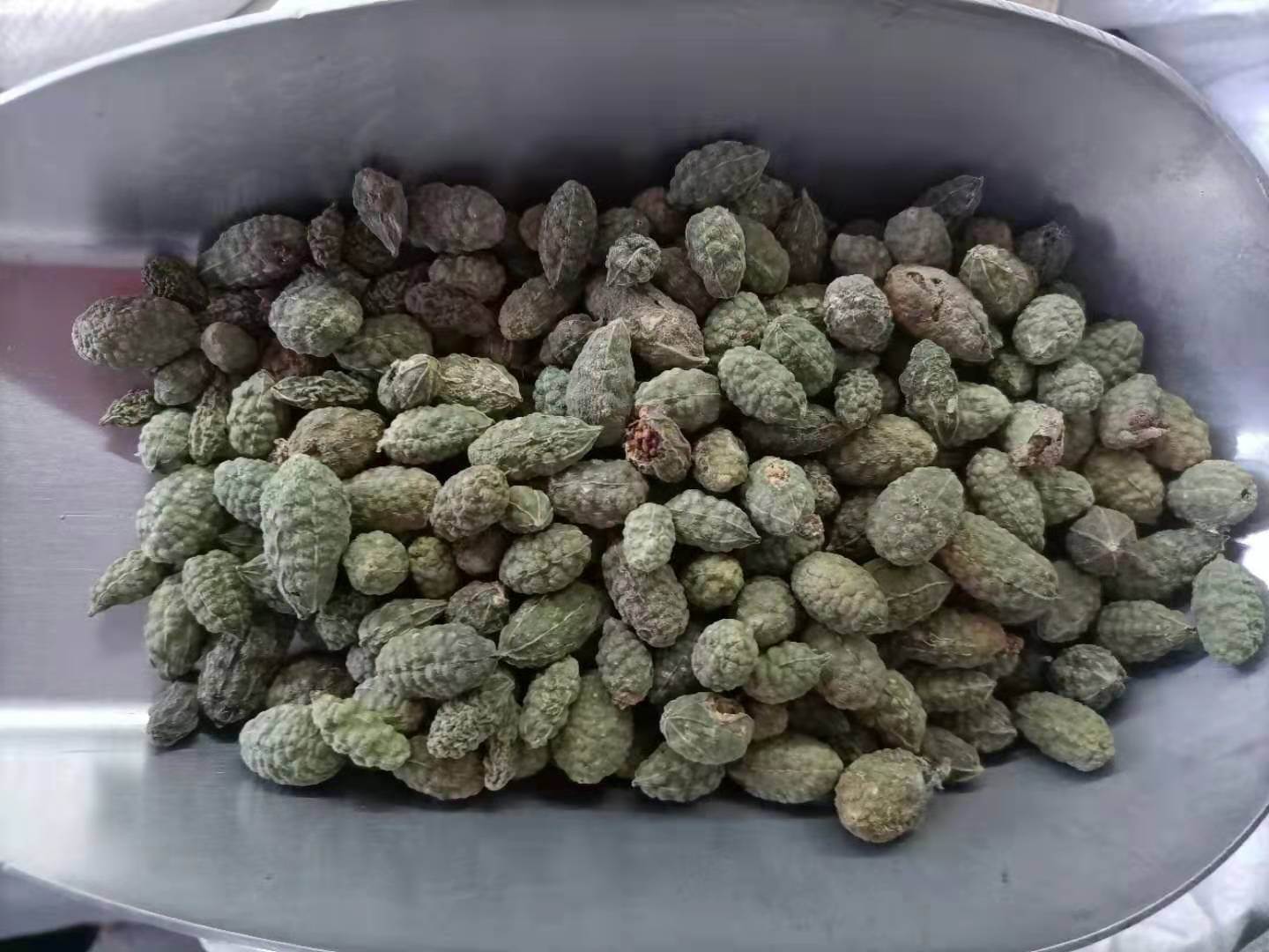 中药材批发野西瓜