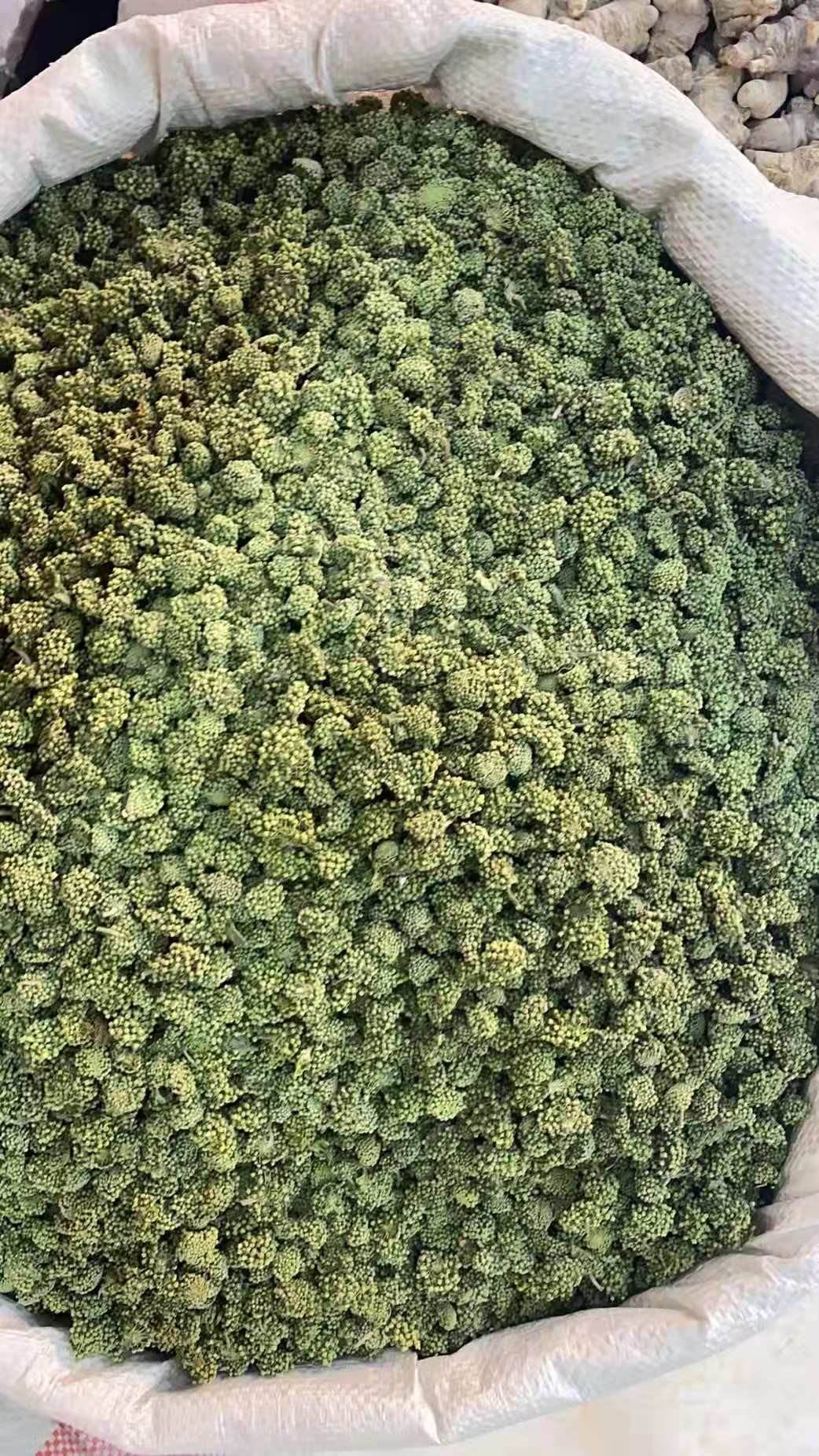 供应三七花新货三七花的药用价值