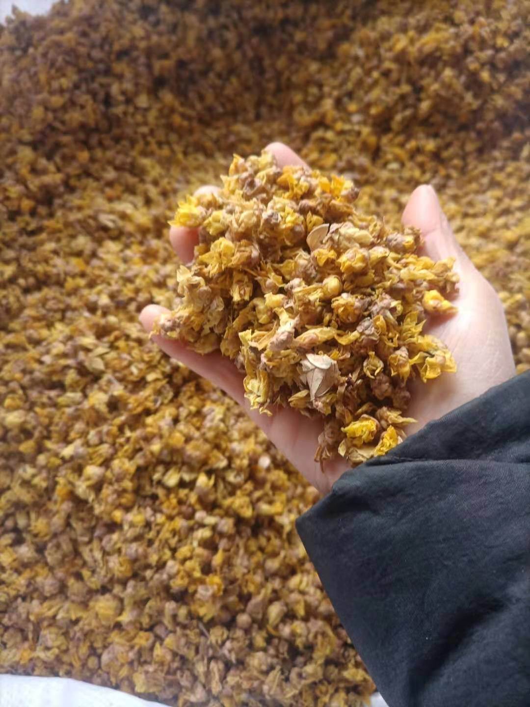 中药材批发腊梅花