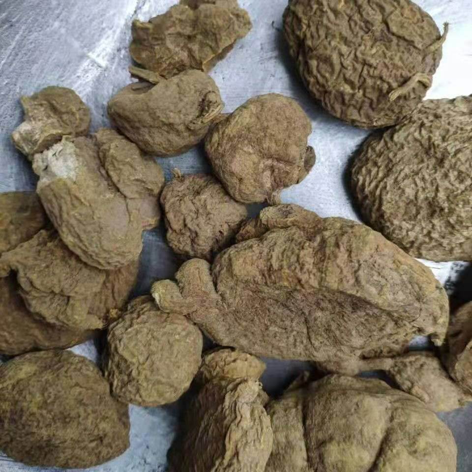 中药材追风伞批发价格