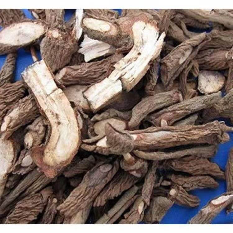 中药材批发玉郎伞