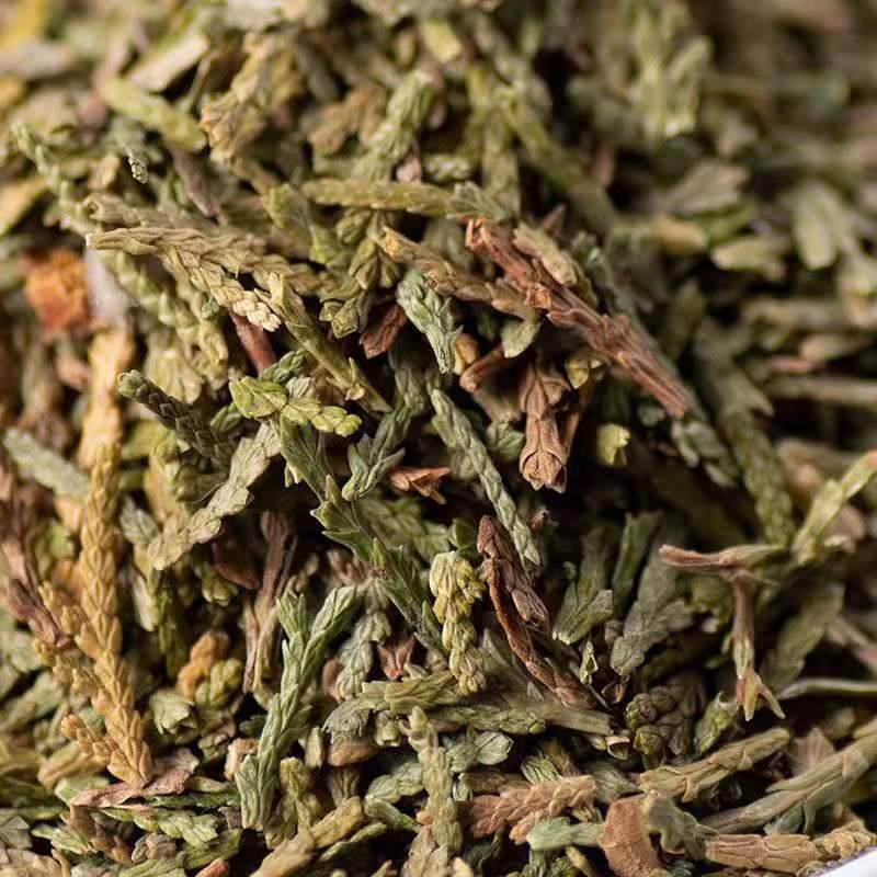 侧柏叶的功效与作用侧柏叶大货出售