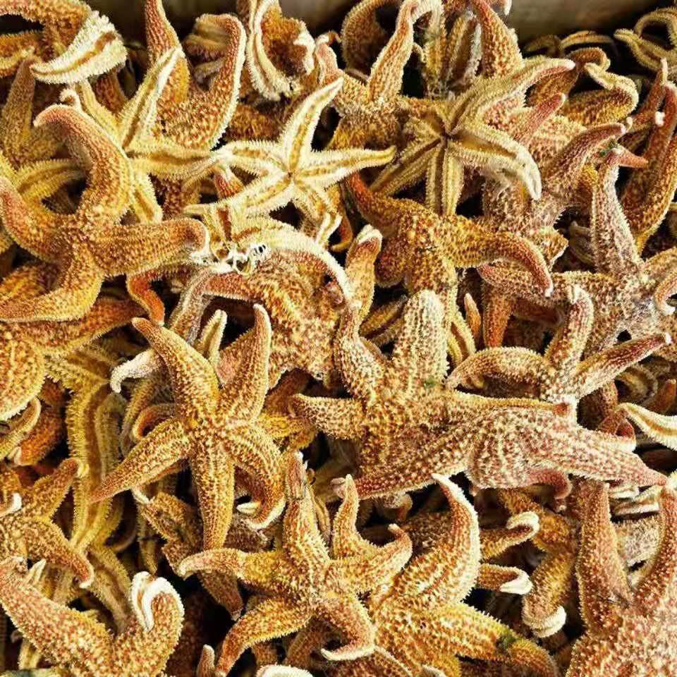 中药材苦豆子批发