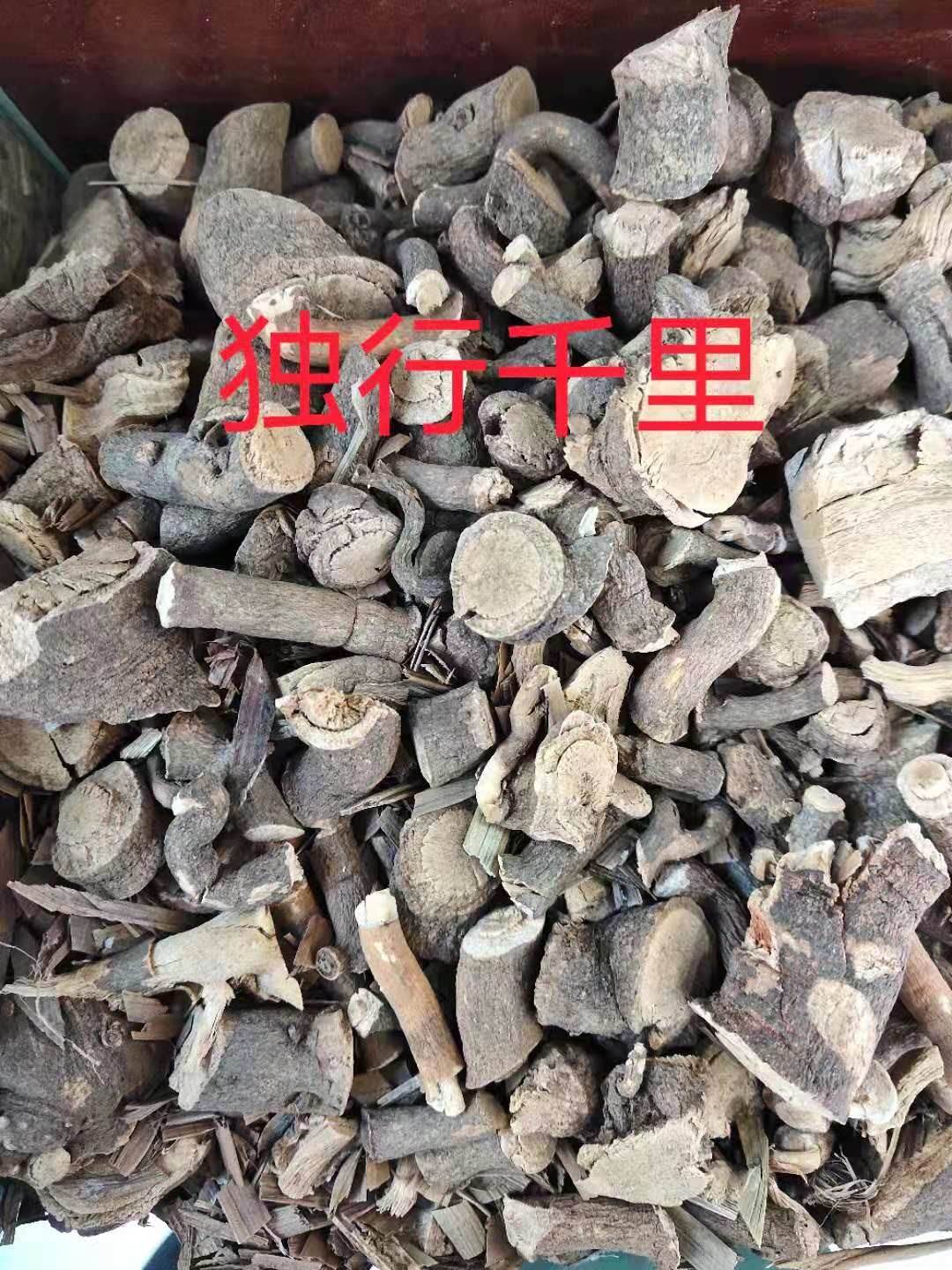 冷背药材供应独行千里