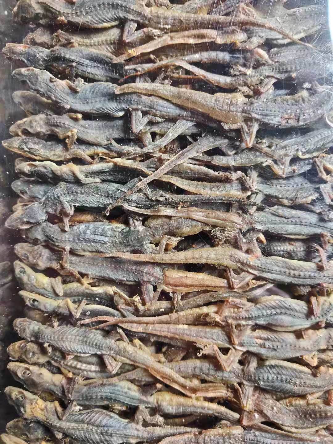 中药材雪里见的功效