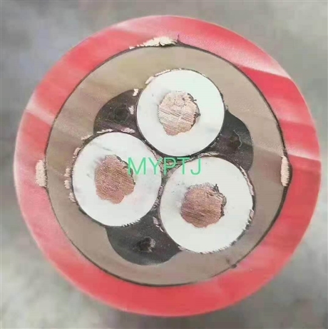 矿用电缆MYP-0.66/1.14kV-3*16+1*10mm2