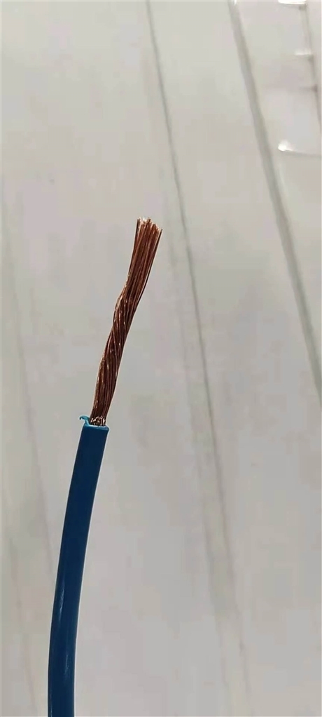 绝缘电线WDZN-BYJ-10mm2