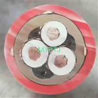 矿用电缆MYP-0.66/1.14kV-3*16+1*10mm2