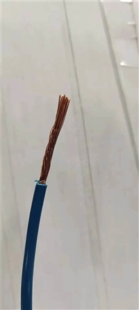 绝缘电线WDZN-BYJ-10mm2