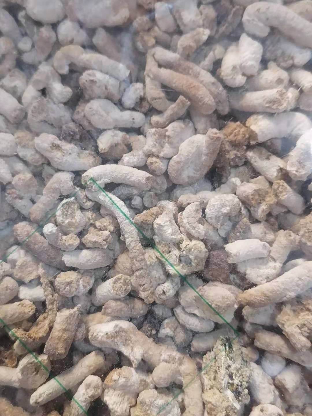 中药材批发铁线莲