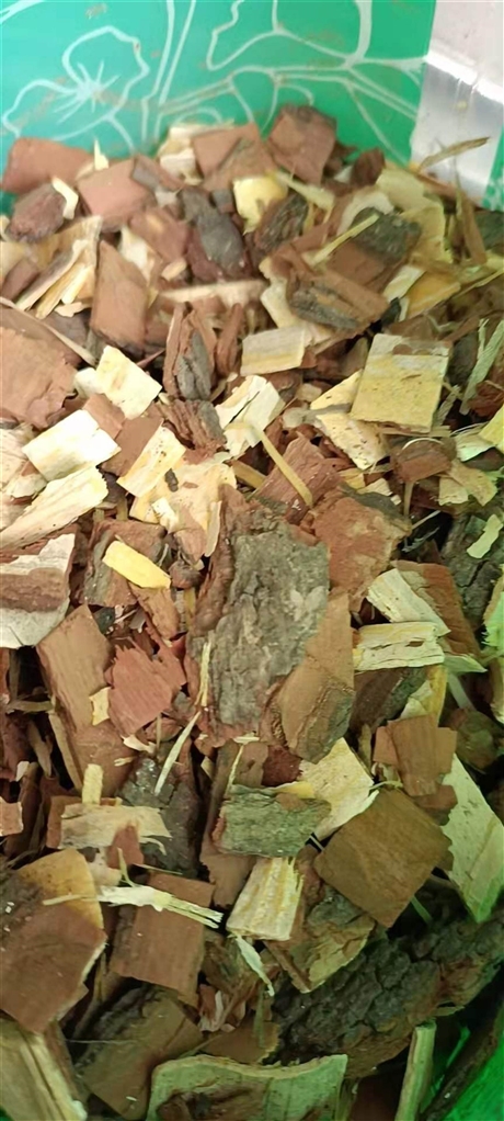 续随子的药用价值