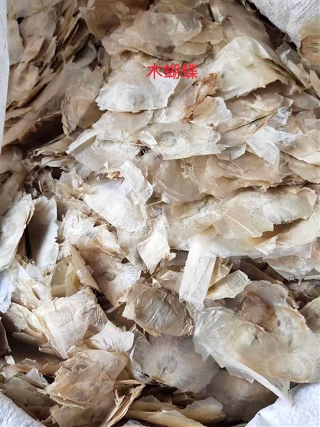 漆树叶的药用价值