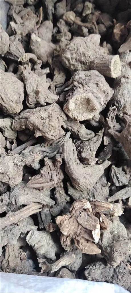 【川乌批发价格    川乌与草乌的区别】价格,厂家,粮食作物种子