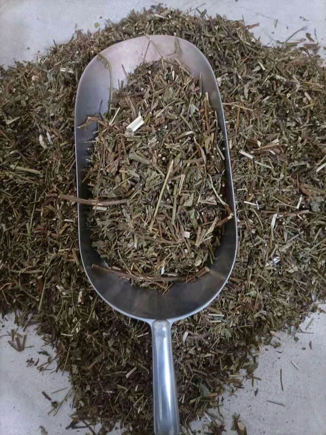 中药材批发槐树皮