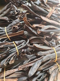 中药材水蛭批发价格