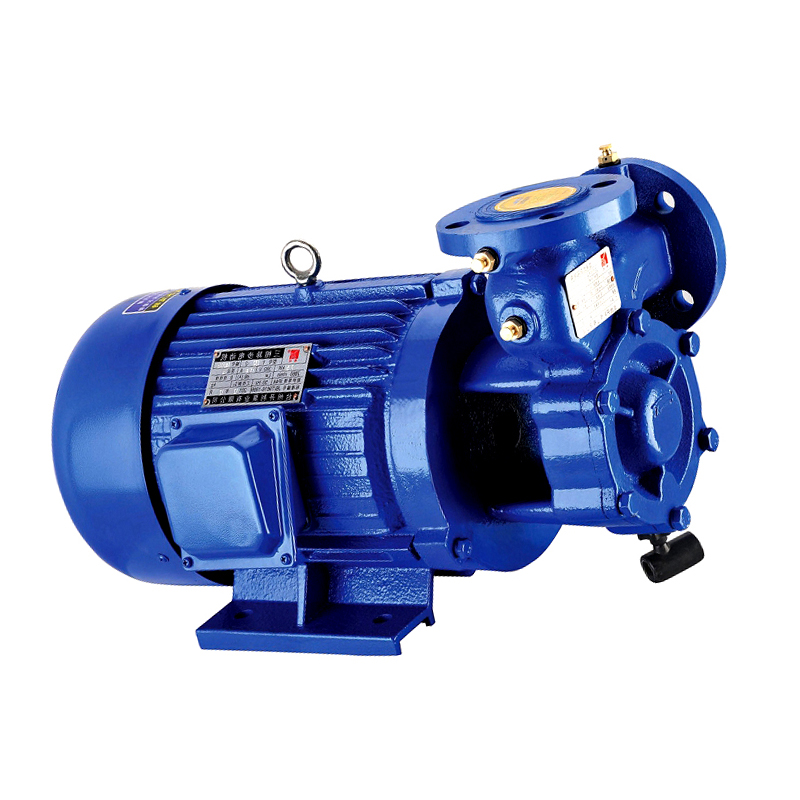 开利/KAILI W系列15KW国标法兰旋涡泵、增压泵 40W5-200-15 40W5