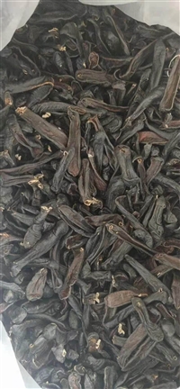 水蛭批发各种规格