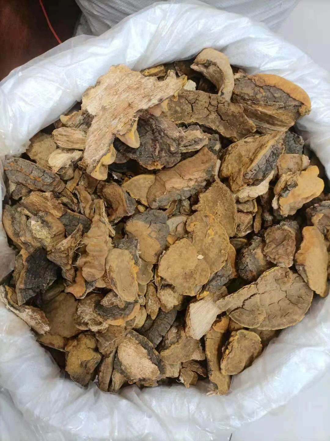 中药材小米草批发价格