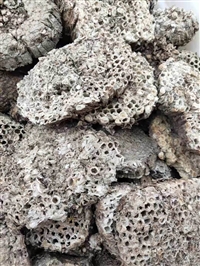 中药材蜂房各种规格齐全