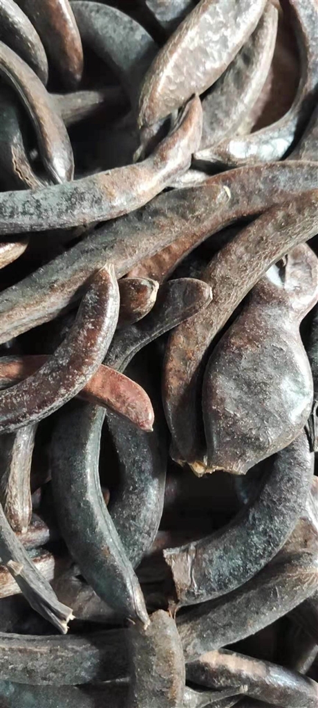 牙皂批发价格供应中药材牙皂猪牙皂皂荚